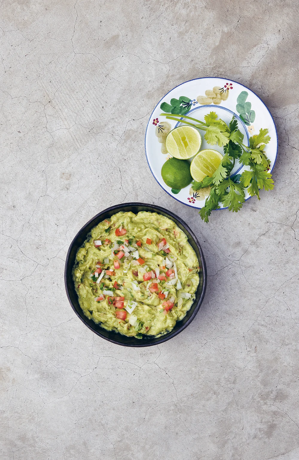 guacamole_barbecue appetizers